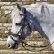 BR100 Venice Bridle with Reins - Available in Cob or Full - Black or Havana, Pick'n'Mix